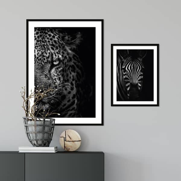 Animals posters