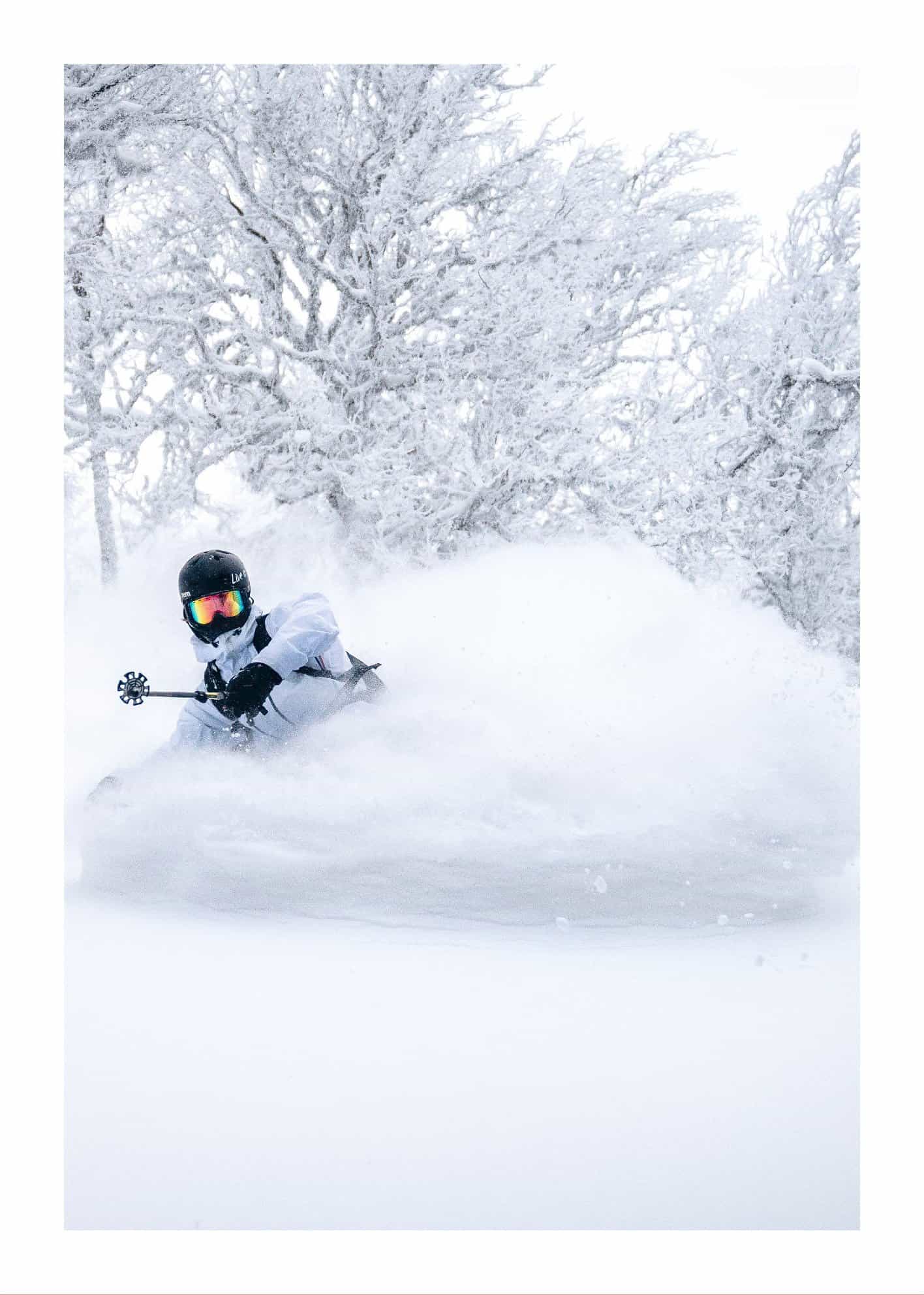 Skidåkare i pudersnö poster