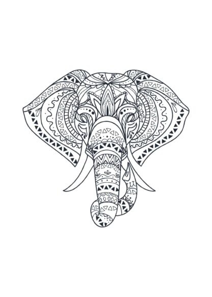Boho elefant poster