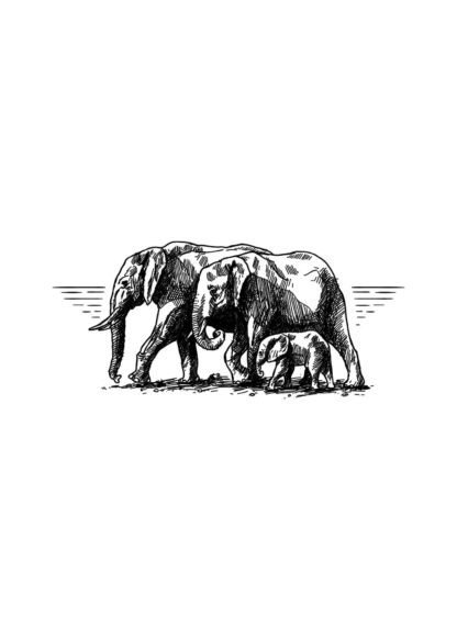 Elefantfamilj poster