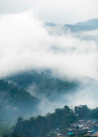 Skogslandskap i dimma poster