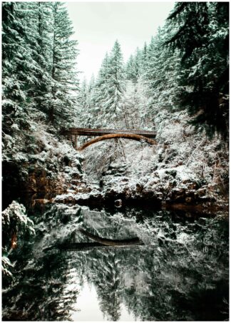 Bro i skogen poster