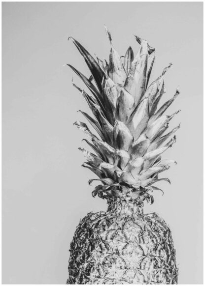 Monokrom ananas poster