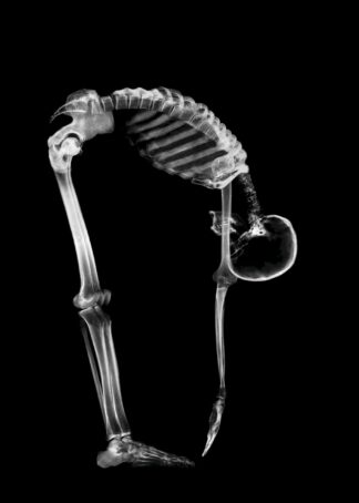 Skelett som stretchar poster