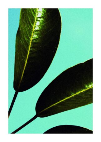 Gröna blad poster