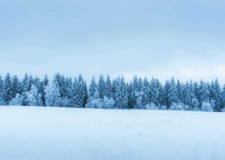 Snölandskap i Sotkamo, Finland poster