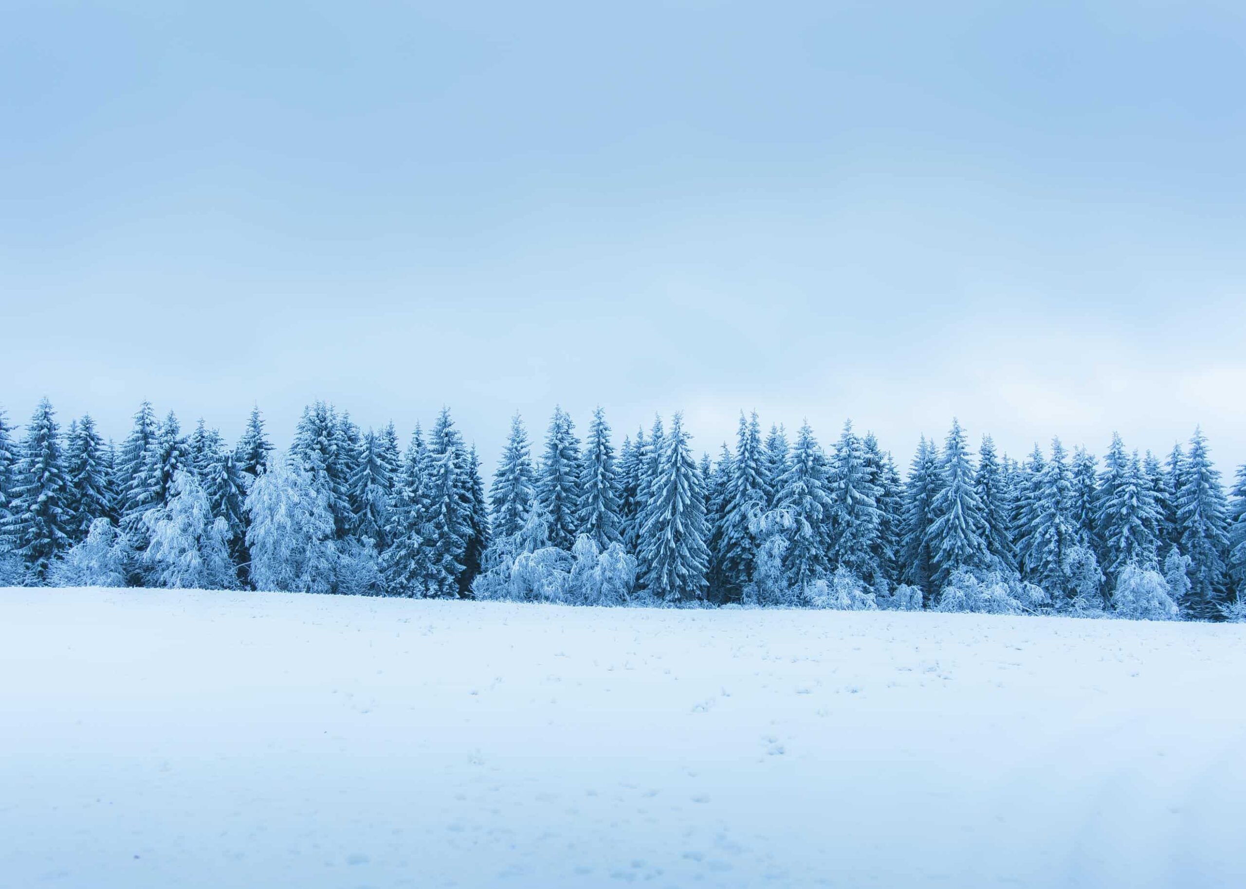Snölandskap i Sotkamo, Finland poster