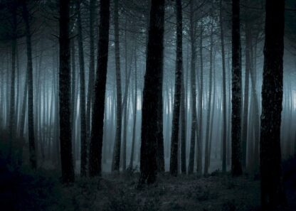 Mörk spöklik skog poster