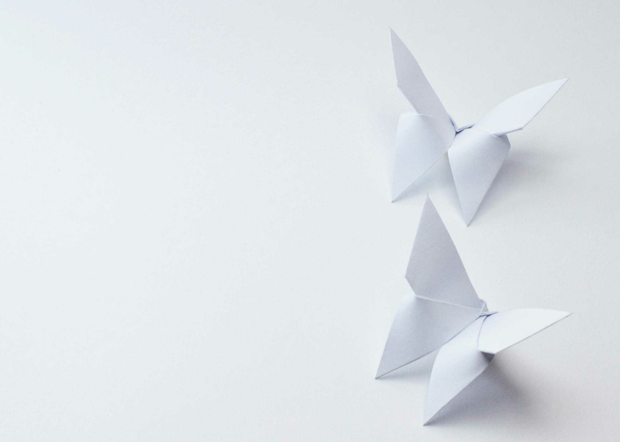 Vita origami fjärilar poster