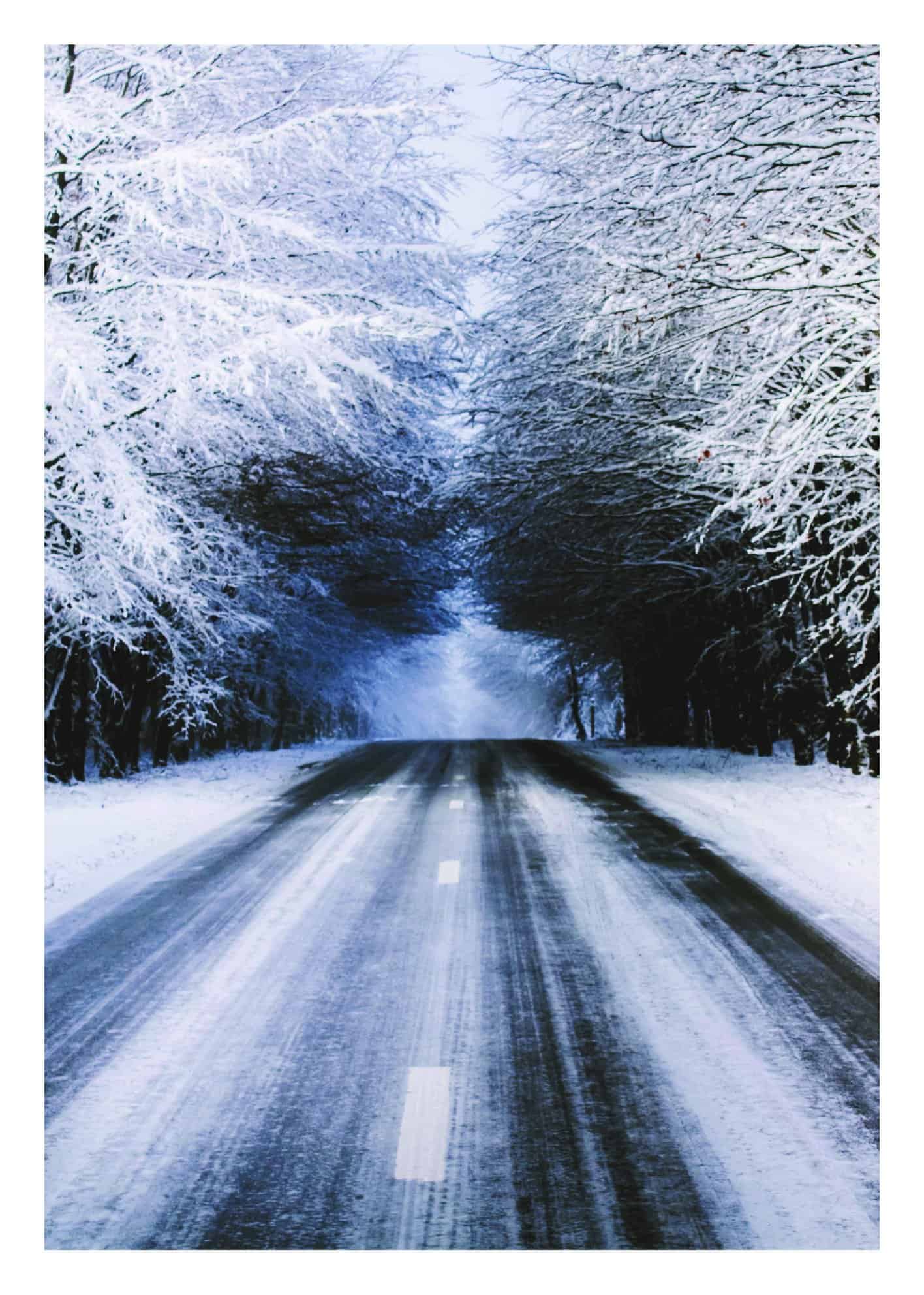 Vinterväg genom skog poster