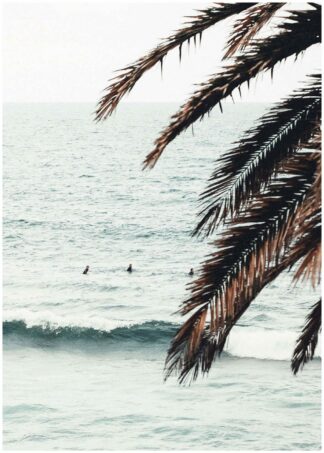 Palm vid havet poster