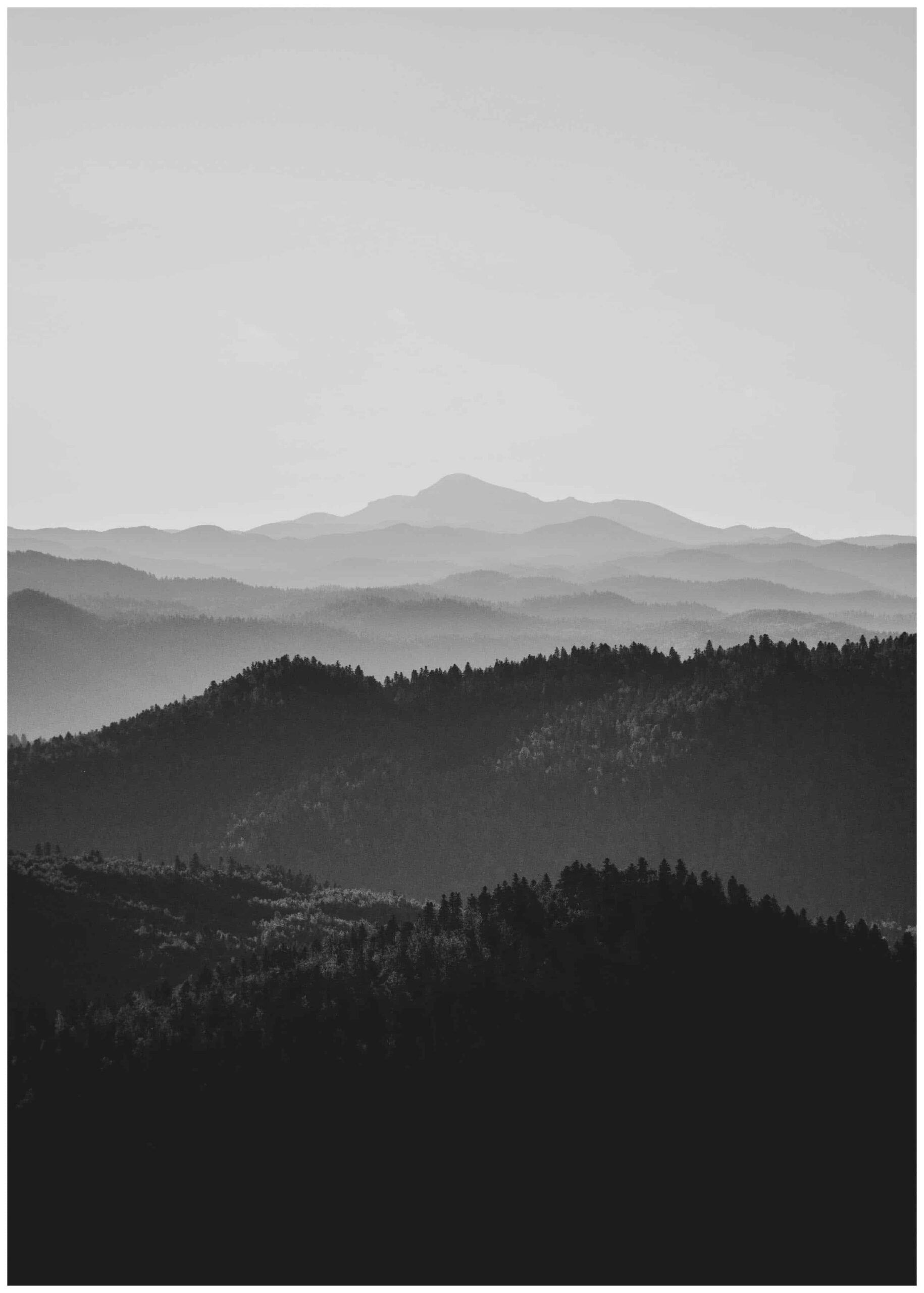 Landskap poster