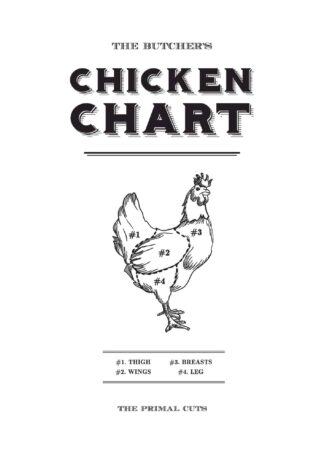 Kyckling primära delar karta poster