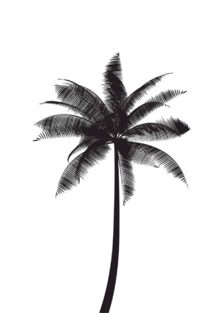 Svart palm poster