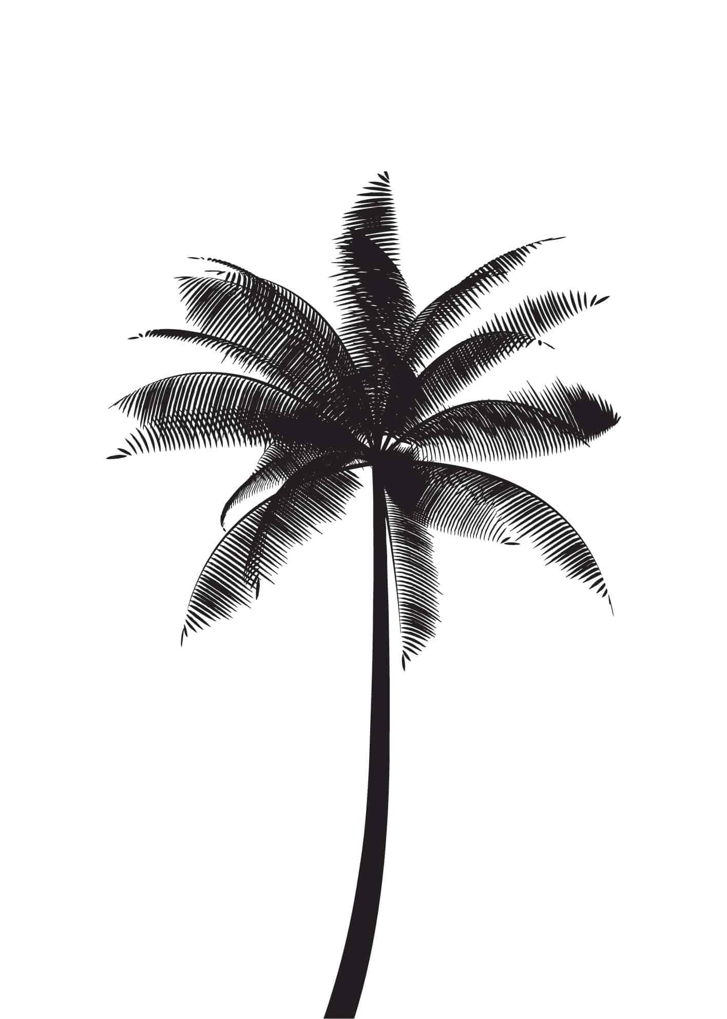 Svart palm poster