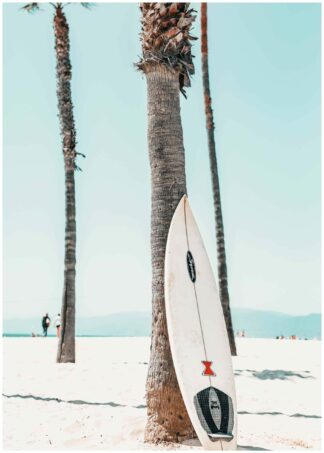 Surfbräda mot palm poster