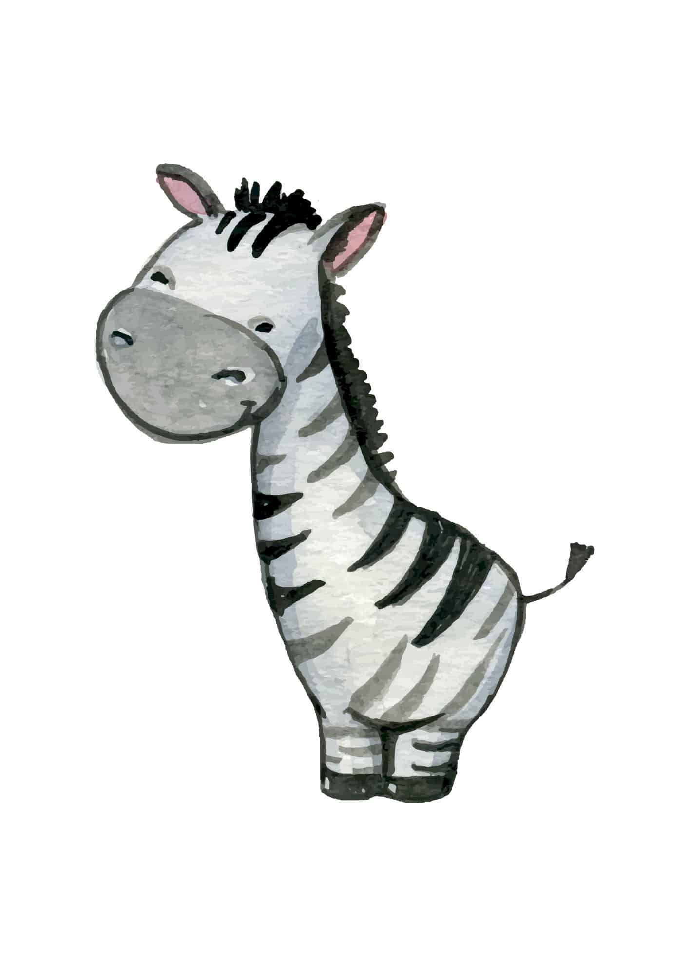 Zebra i vattenfärg poster