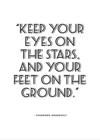 Theodore Roosevelt citat poster