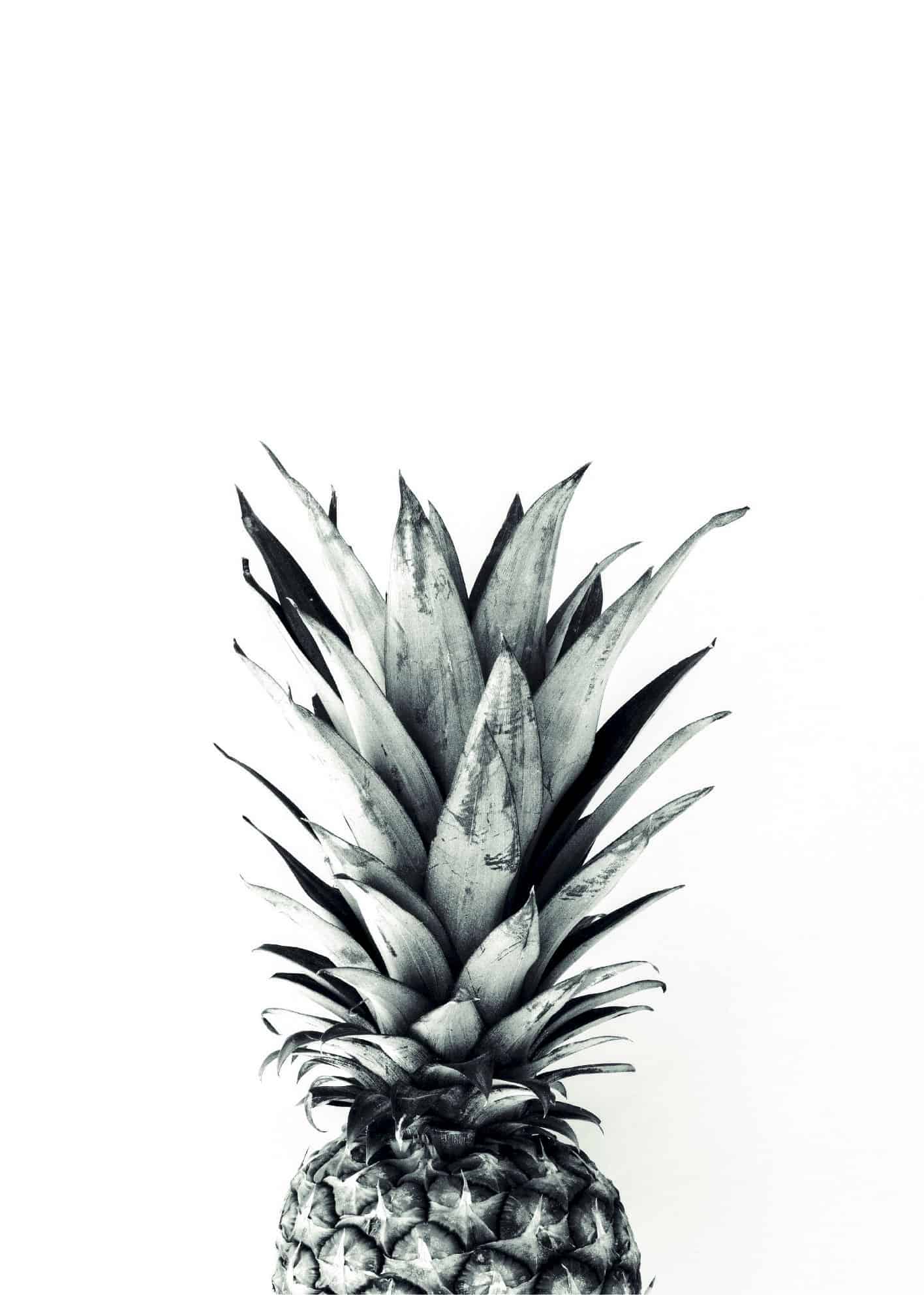 Ananas svartvit poster
