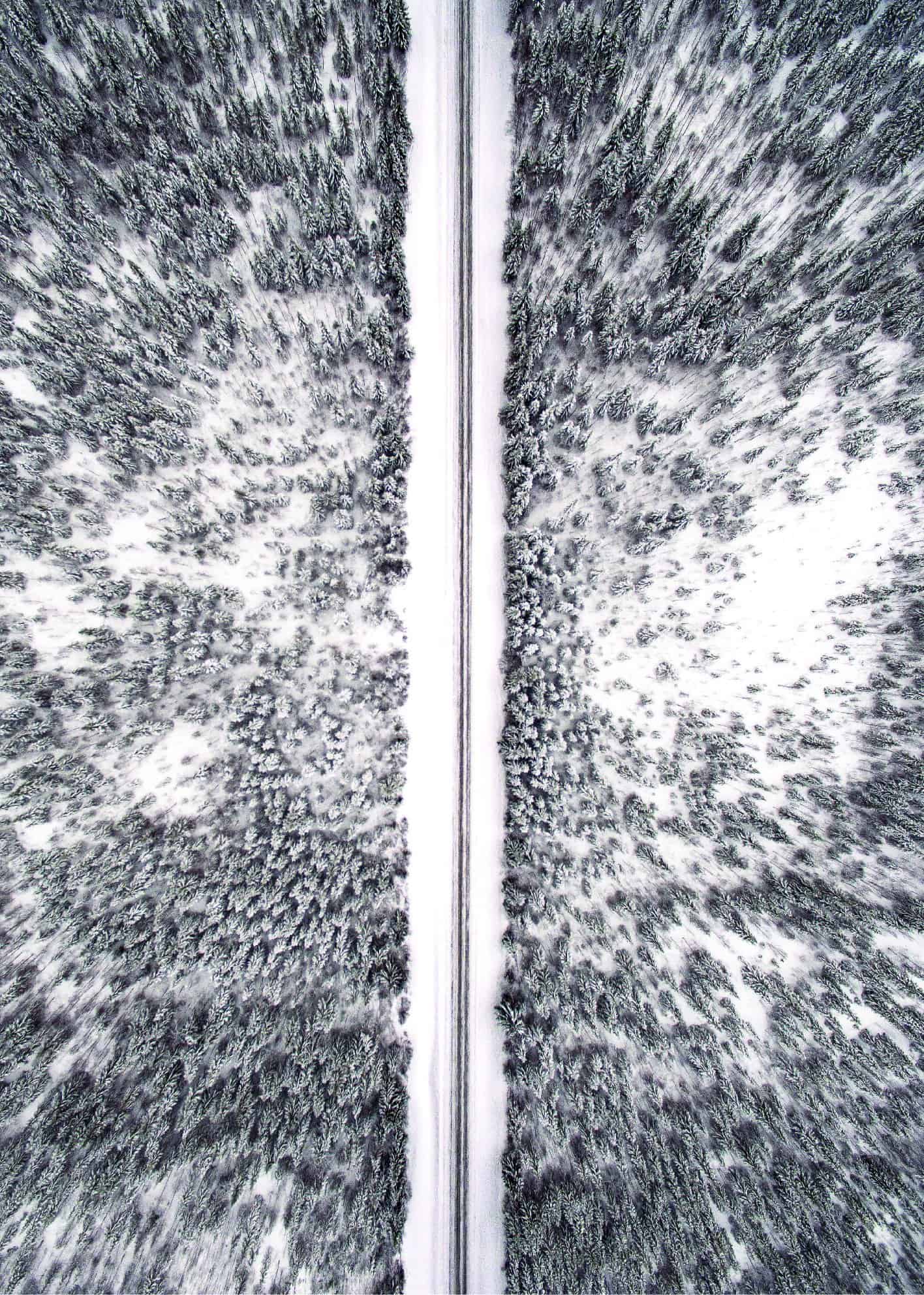 Snöig motorväg genom skog poster